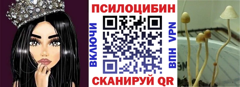 Псилоцибиновые грибы Psilocybe  MEGA зеркало  Елизаветинская  даркнет сайт 